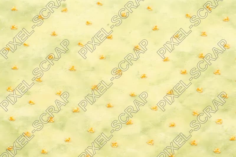 Petal Polka