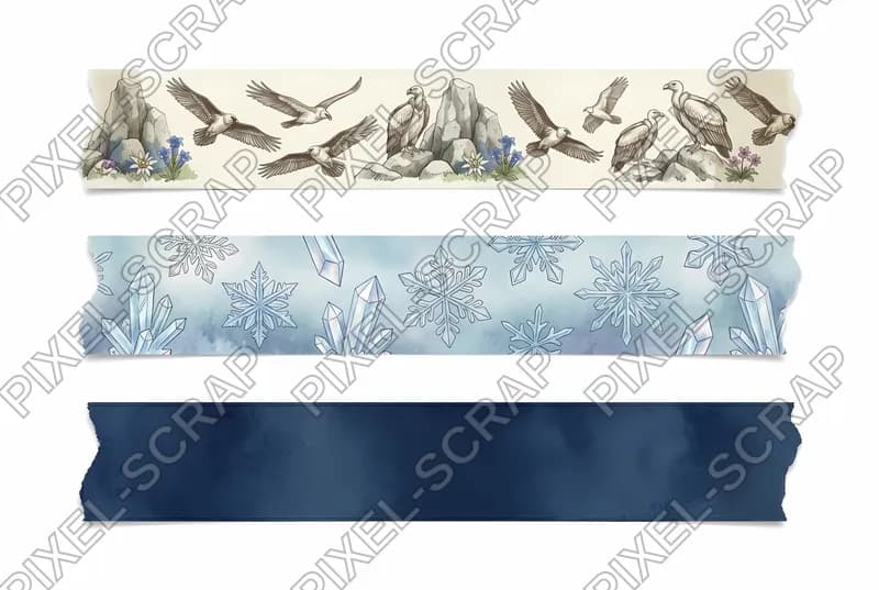 Vulture & Navy Washi
