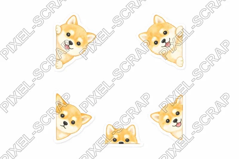 Peeking Shibas