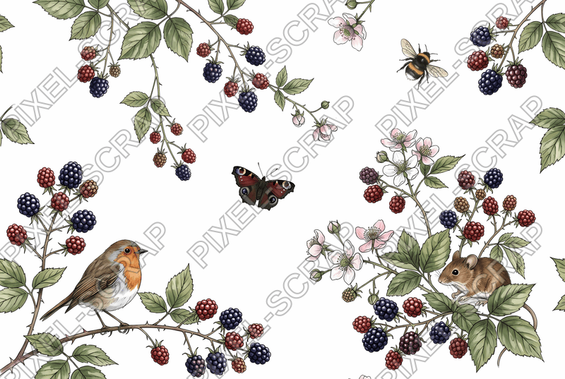 Blackberry Botanical Study