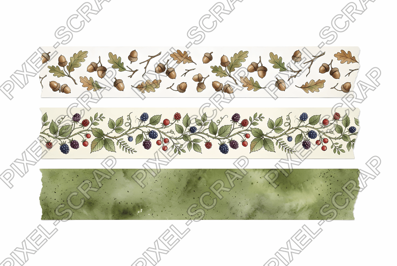Acorn & Fruit Washi