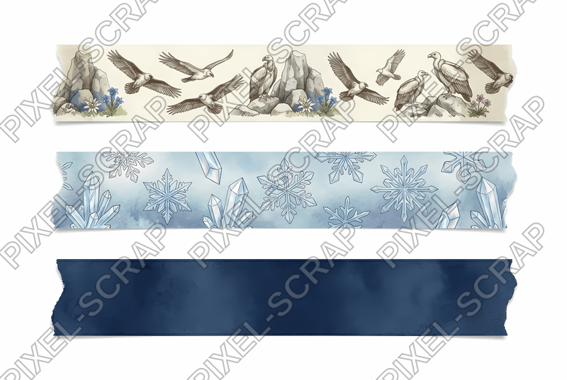 Vulture & Navy Washi