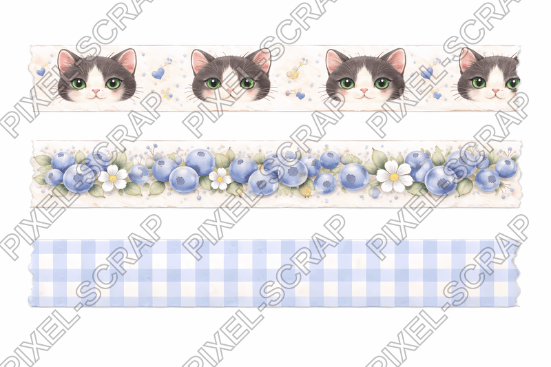 Cat Washi
