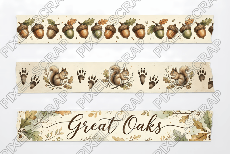 Acorn & Prints Washi