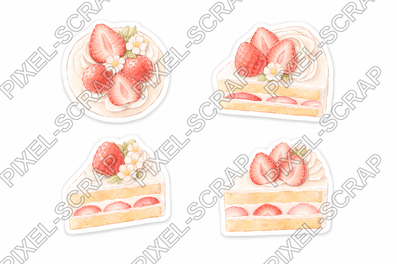 Cake Slices